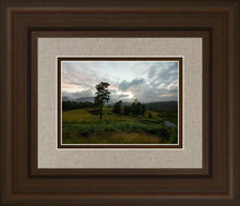 Load image into Gallery viewer, Plate 3 - Tarn Hows Above Ambleside