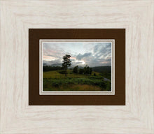 Load image into Gallery viewer, Plate 3 - Tarn Hows Above Ambleside
