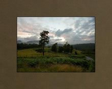 Load image into Gallery viewer, Plate 3 - Tarn Hows Above Ambleside