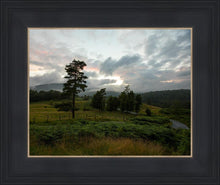 Load image into Gallery viewer, Plate 3 - Tarn Hows Above Ambleside