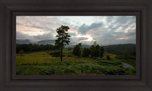 Load image into Gallery viewer, Plate 3 - Tarn Hows Above Ambleside