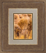 Load image into Gallery viewer, Plate 1 - Guatemala Highlands Shock of Wheat