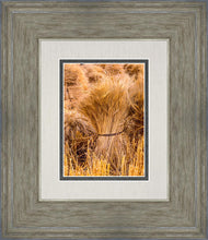 Load image into Gallery viewer, Plate 1 - Guatemala Highlands Shock of Wheat