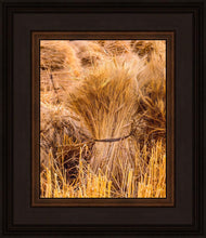 Load image into Gallery viewer, Plate 1 - Guatemala Highlands Shock of Wheat