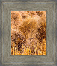 Load image into Gallery viewer, Plate 1 - Guatemala Highlands Shock of Wheat