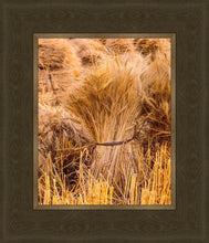 Load image into Gallery viewer, Plate 1 - Guatemala Highlands Shock of Wheat