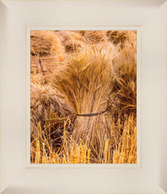 Load image into Gallery viewer, Plate 1 - Guatemala Highlands Shock of Wheat