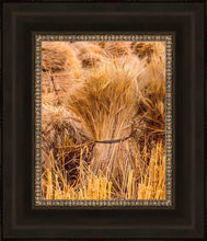 Load image into Gallery viewer, Plate 1 - Guatemala Highlands Shock of Wheat