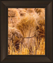 Load image into Gallery viewer, Plate 1 - Guatemala Highlands Shock of Wheat