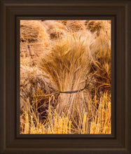 Load image into Gallery viewer, Plate 1 - Guatemala Highlands Shock of Wheat
