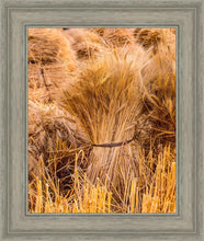 Load image into Gallery viewer, Plate 1 - Guatemala Highlands Shock of Wheat