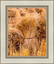 Load image into Gallery viewer, Plate 1 - Guatemala Highlands Shock of Wheat