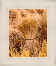 Load image into Gallery viewer, Plate 1 - Guatemala Highlands Shock of Wheat