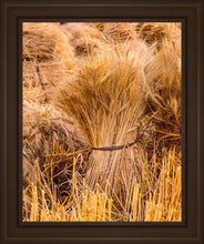 Load image into Gallery viewer, Plate 1 - Guatemala Highlands Shock of Wheat