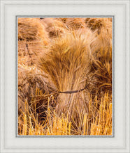 Load image into Gallery viewer, Plate 1 - Guatemala Highlands Shock of Wheat