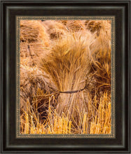 Load image into Gallery viewer, Plate 1 - Guatemala Highlands Shock of Wheat