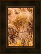 Load image into Gallery viewer, Plate 1 - Guatemala Highlands Shock of Wheat