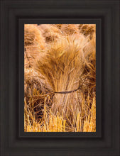 Load image into Gallery viewer, Plate 1 - Guatemala Highlands Shock of Wheat