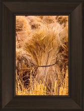 Load image into Gallery viewer, Plate 1 - Guatemala Highlands Shock of Wheat