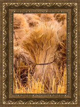 Load image into Gallery viewer, Plate 1 - Guatemala Highlands Shock of Wheat