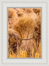 Load image into Gallery viewer, Plate 1 - Guatemala Highlands Shock of Wheat