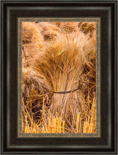 Load image into Gallery viewer, Plate 1 - Guatemala Highlands Shock of Wheat
