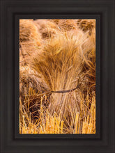 Load image into Gallery viewer, Plate 1 - Guatemala Highlands Shock of Wheat