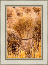 Load image into Gallery viewer, Plate 1 - Guatemala Highlands Shock of Wheat
