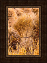 Load image into Gallery viewer, Plate 1 - Guatemala Highlands Shock of Wheat