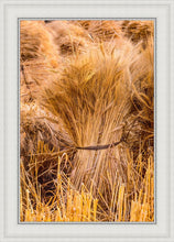 Load image into Gallery viewer, Plate 1 - Guatemala Highlands Shock of Wheat