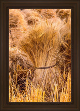 Load image into Gallery viewer, Plate 1 - Guatemala Highlands Shock of Wheat