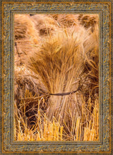 Load image into Gallery viewer, Plate 1 - Guatemala Highlands Shock of Wheat