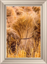 Load image into Gallery viewer, Plate 1 - Guatemala Highlands Shock of Wheat