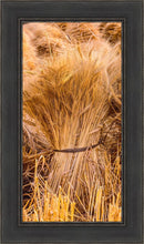 Load image into Gallery viewer, Plate 1 - Guatemala Highlands Shock of Wheat