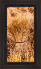 Load image into Gallery viewer, Plate 1 - Guatemala Highlands Shock of Wheat