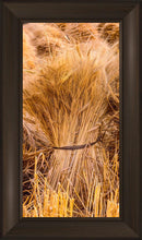 Load image into Gallery viewer, Plate 1 - Guatemala Highlands Shock of Wheat