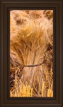 Load image into Gallery viewer, Plate 1 - Guatemala Highlands Shock of Wheat