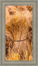 Load image into Gallery viewer, Plate 1 - Guatemala Highlands Shock of Wheat