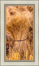 Load image into Gallery viewer, Plate 1 - Guatemala Highlands Shock of Wheat