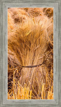 Load image into Gallery viewer, Plate 1 - Guatemala Highlands Shock of Wheat