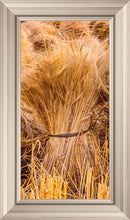 Load image into Gallery viewer, Plate 1 - Guatemala Highlands Shock of Wheat