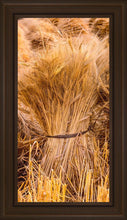 Load image into Gallery viewer, Plate 1 - Guatemala Highlands Shock of Wheat
