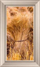 Load image into Gallery viewer, Plate 1 - Guatemala Highlands Shock of Wheat