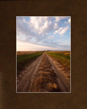 Load image into Gallery viewer, Plate 8 - Calm Before the Storm Vertical