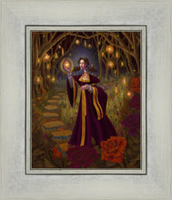 Load image into Gallery viewer, The Light Gatherer