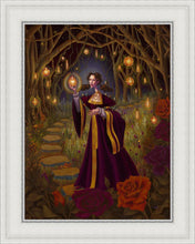 Load image into Gallery viewer, The Light Gatherer