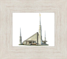 Load image into Gallery viewer, Sacred Places Dallas