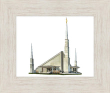 Load image into Gallery viewer, Sacred Places Dallas