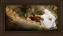 Load image into Gallery viewer, The Comforter
