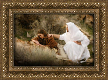 Load image into Gallery viewer, The Comforter